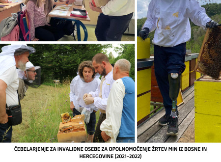 kolaž več slik, ki prikazuje delo čebelarjev